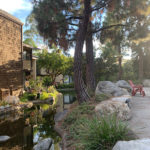 Lakewood Shores Image 18