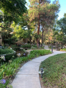 Lakewood Shores Image 7